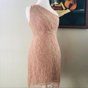 J Crew Lace One nude Shoulder Dress 6